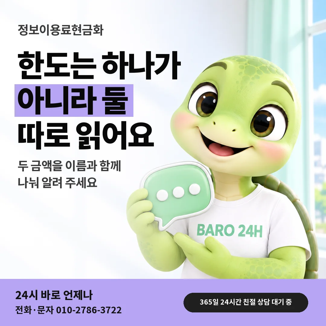 말풍선을 든 BARO 24H 티셔츠를 입은 3D 거북이 캐릭터 옆에 「정보이용료와 소액결제 한도」 제목을 얹은 안내 카드